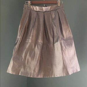 Chetta B Charcoal silver skirt built in petticoat